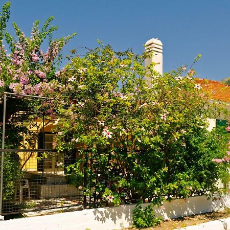 Σπίτι με Κήπο κοντά στη Θάλασσα Διαμέρισμα Αγία Ευφημία Εξωτερικό φωτογραφία