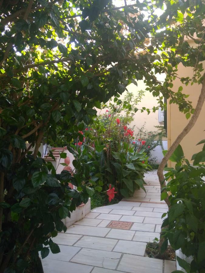 Σπίτι με Κήπο κοντά στη Θάλασσα Διαμέρισμα Αγία Ευφημία Εξωτερικό φωτογραφία